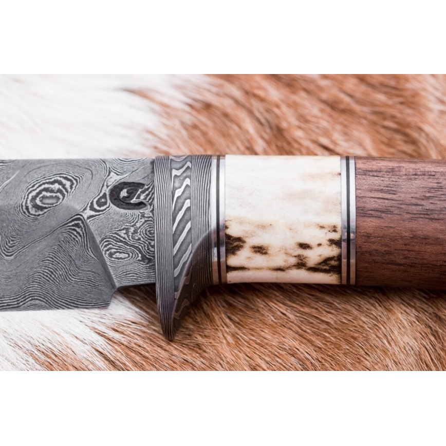 Damast-Jagdmesser 11,8 cm Walnuss/Hirschgeweih