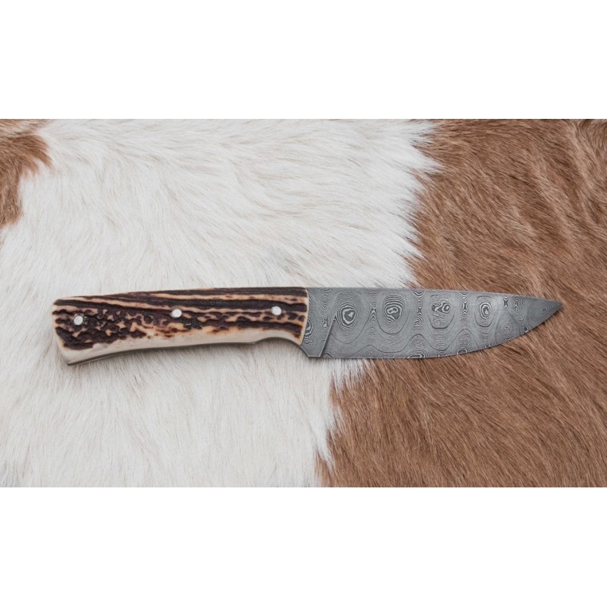 Damast-Jagdmesser 11 cm Hirschgeweih