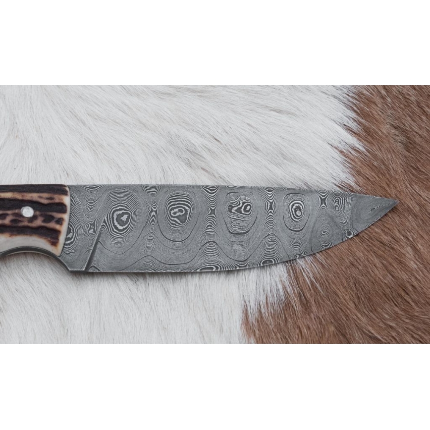 Damast-Jagdmesser 11 cm Hirschgeweih
