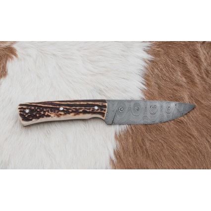 Damast-Jagdmesser mit Mini-Säge 11 cm Hirschgeweih