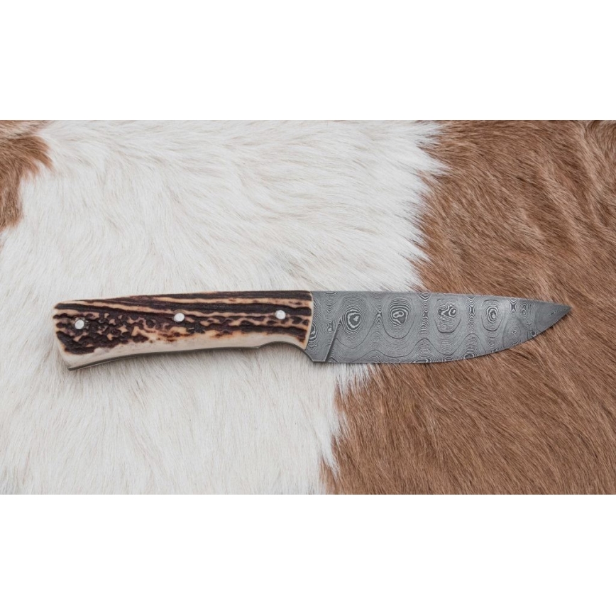 Damast-Jagdmesser mit Mini-Säge 11 cm Hirschgeweih