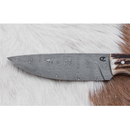 Damast-Jagdmesser mit Mini-Säge 11 cm Hirschgeweih