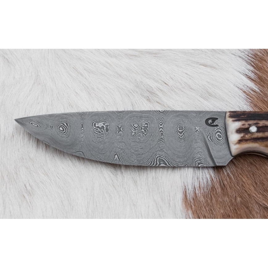 Damast-Jagdmesser mit Mini-Säge 11 cm Hirschgeweih