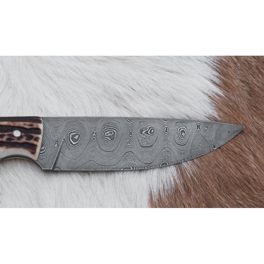 Damast-Jagdmesser mit Mini-Säge 11 cm Hirschgeweih