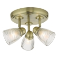 Där Lighting CED7675 - Spot pour salle de bains CEDRIC 3xG9/25W/230V IP44 laiton