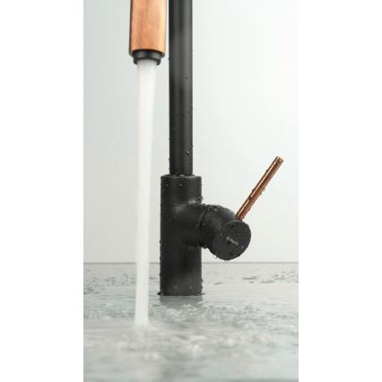 Deante BCA_B64M - Mitigeur d'évier ASTER noir/laiton