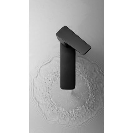 Deante BQL_N20M - Mitigeur lavabo BLUR noir