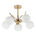 Deckenleuchte an Stange AMOS 5xE27/40W/230V golden