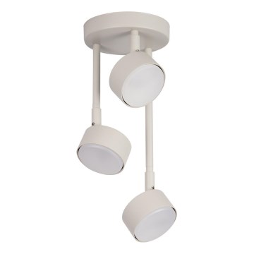 Deckenleuchte an Stange NEMO 3xGX53/12W/230V beige