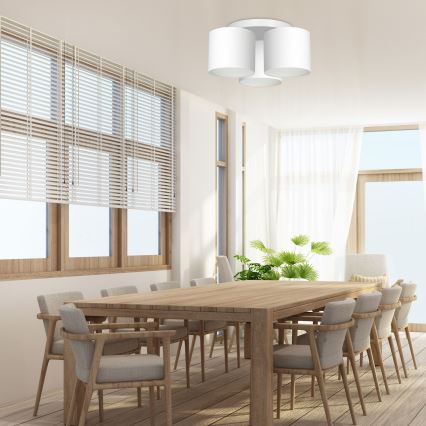 Deckenleuchte ARDEN 3xE27/60W/230V weiß, aufgesetzt