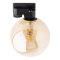 Deckenleuchte für 1-Phasen-Schienensystem TRACER 1xG9/8W/230V schwarz/rauchig beige