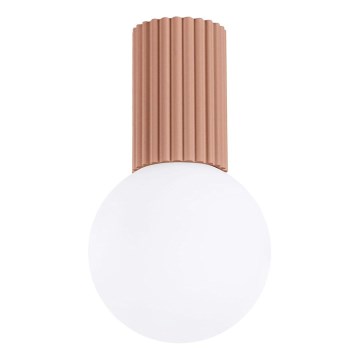 Deckenleuchte für Badezimmer HALO 1xG9/8W/230V d 12 cm IP44 braun