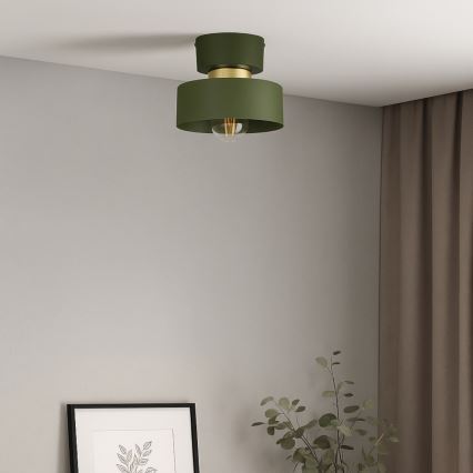 Deckenleuchte IGNIA 1xE27/60W/230V grün/gold