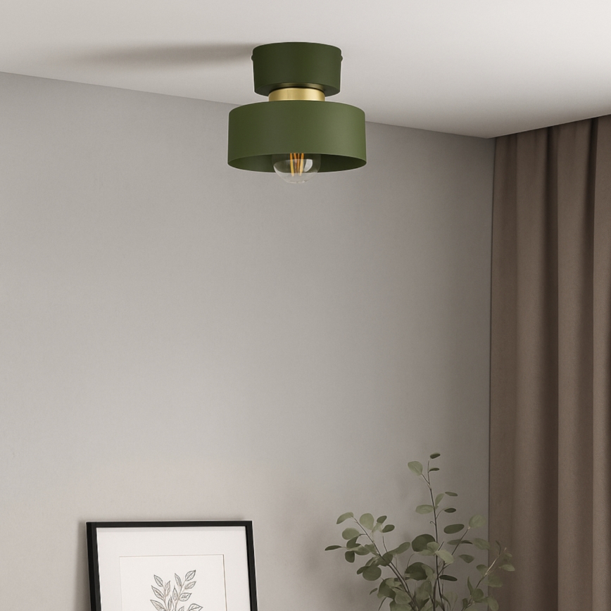 Deckenleuchte IGNIA 1xE27/60W/230V grün/gold