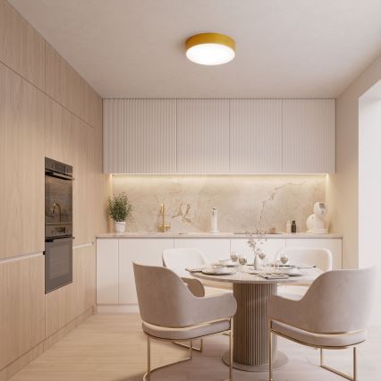 Deckenleuchte CLEO mit Bewegungs- und Dämmerungssensor, 2xE27/24W/230V, Ø 30 cm, goldfarben