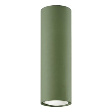 Deckenspot LAGOS 1xGU10/10W/230V 20 cm grün