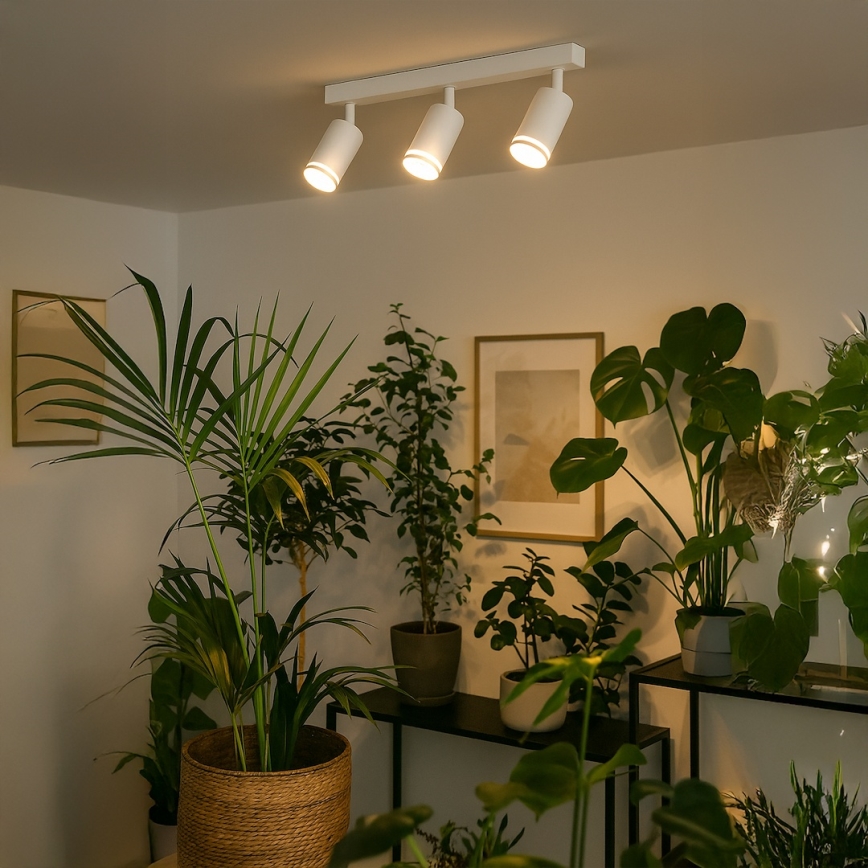 Deckenstrahler PIPE 3xGU10/10W/230V weiß