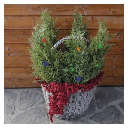 Décoration solaire à LED 50xLED/3W/1,2V 600 mAh IP44