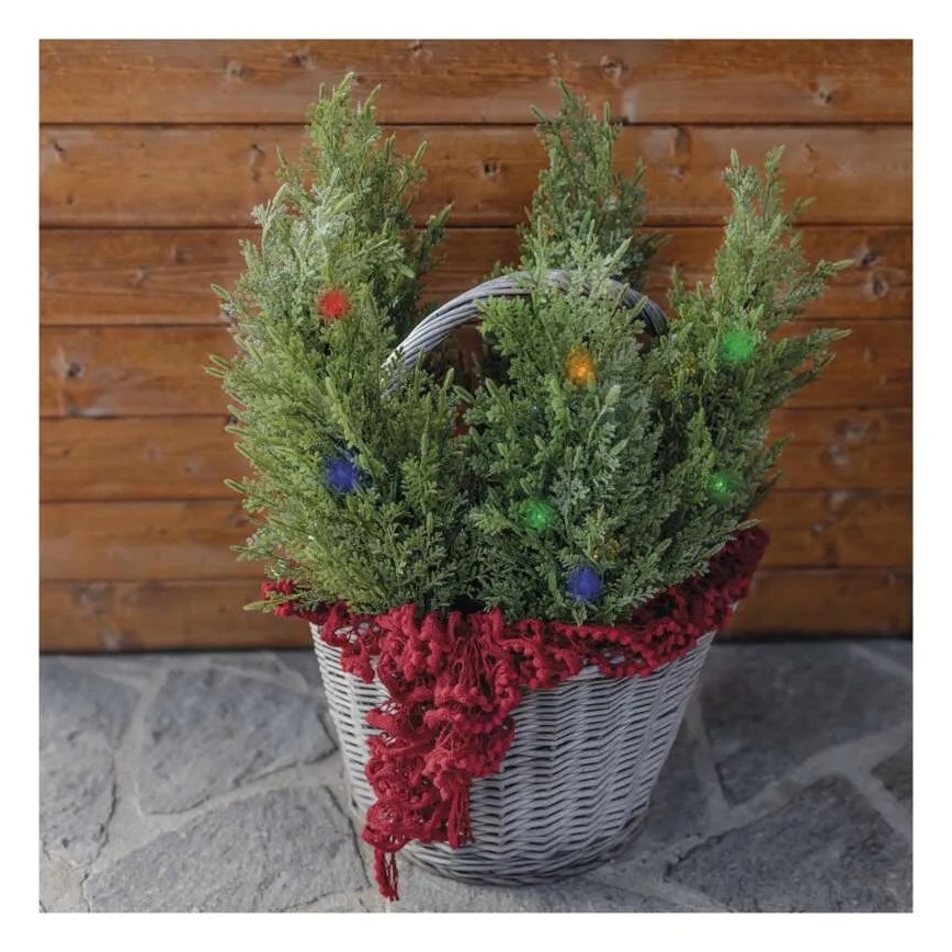 Décoration solaire à LED 50xLED/3W/1,2V 600 mAh IP44