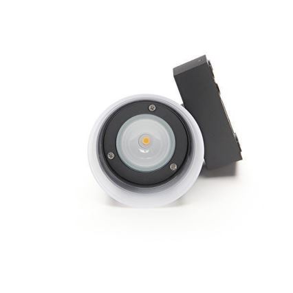 Deko-Light 731076 - Applique murale extérieure SERPENTIS LED/6,2W/230V IP54 noir