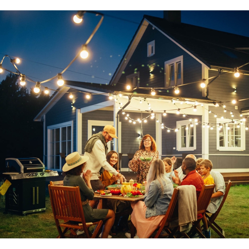 Dekorative Outdoor-Lichterkette MIMOSA 10xE27/1,3W/230V IP44 10 m