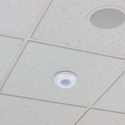 Détecteur de mouvement infrarouge 360° 200W/230V blanc