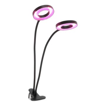 Dimmbare flexible LED-Tischleuchte mit Klemme für die Pflanzenzucht VITARO 2xLED/4W/230V schwarz