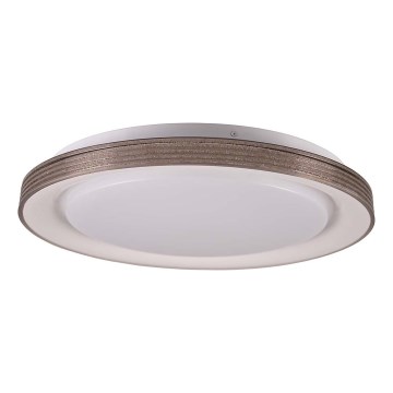 Dimmbare LED-Deckenleuchte für Badezimmer GRAŻYNA LED/48W/230V 3000-6000K d 41 cm IP44 grau + Fernbedienung