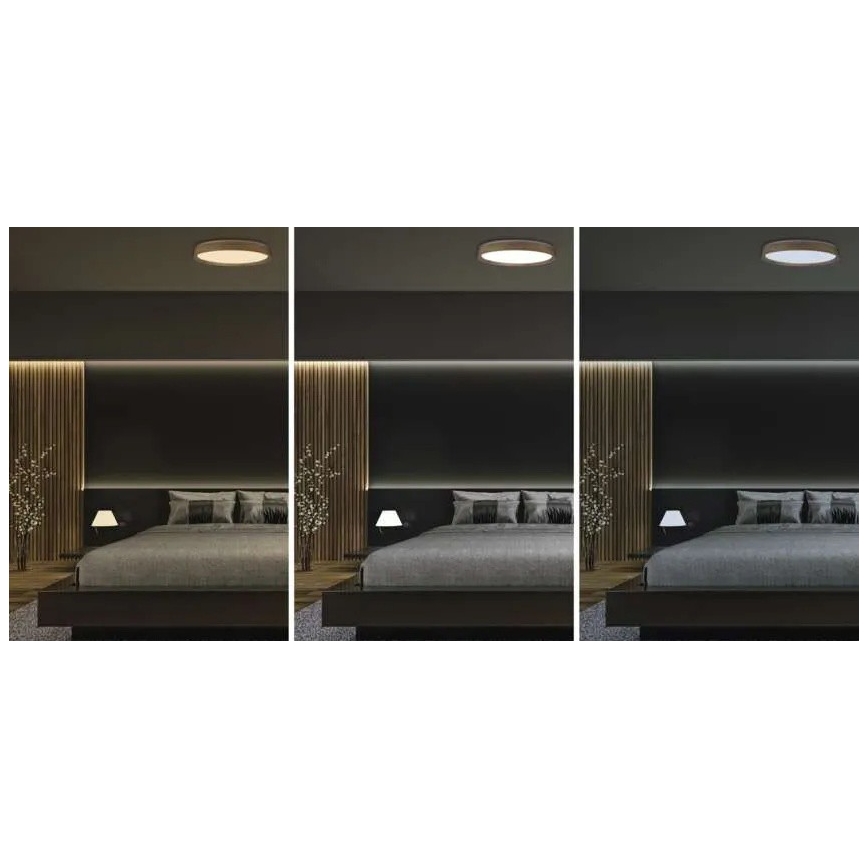 Dimmbare LED-Deckenleuchte ILVI LED/45W/230V 2700-6500K Ø 50 cm Holzdekor + Fernbedienung