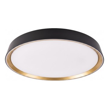 Dimmbare LED-Deckenleuchte ILVI LED/45W/230V 2700-6500K Ø 50 cm schwarz/beige + Fernbedienung