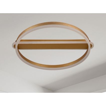 Dimmbare LED-Deckenleuchte LED/60W/230V 3000-6500K + Fernbedienung