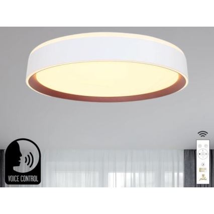 Dimmbare LED-Deckenleuchte mit Sprachsteuerung OPAL LED/48W/230V 2700-6500K weiß + Fernbedienung