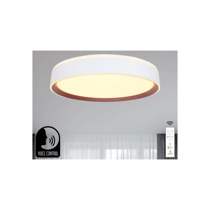Dimmbare LED-Deckenleuchte mit Sprachsteuerung OPAL LED/48W/230V 2700-6500K weiß + Fernbedienung