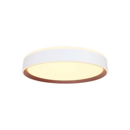 Dimmbare LED-Deckenleuchte mit Sprachsteuerung OPAL LED/48W/230V 2700-6500K weiß + Fernbedienung