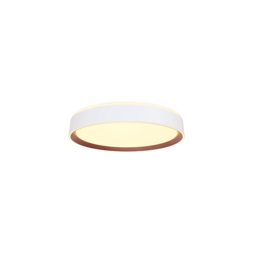 Dimmbare LED-Deckenleuchte mit Sprachsteuerung OPAL LED/48W/230V 2700-6500K weiß + Fernbedienung