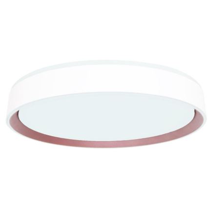 Dimmbare LED-Deckenleuchte mit Sprachsteuerung OPAL LED/48W/230V 2700-6500K weiß + Fernbedienung