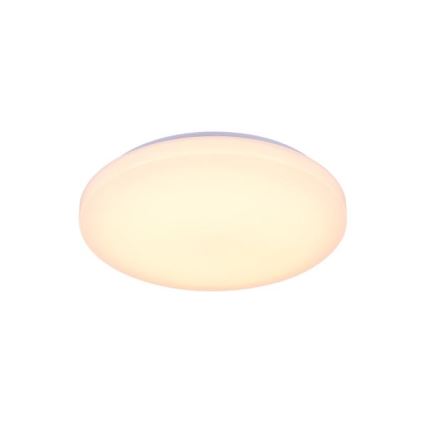 Dimmbare LED-Deckenleuchte mit Sprachsteuerung OPAL LED/48W/230V 2700-6500K weiß + Fernbedienung