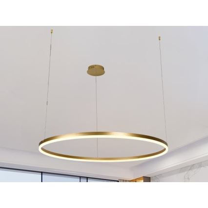 Dimmbare LED-Hängeleuchte LED/55W/230V 3000-6500K + Fernbedienung