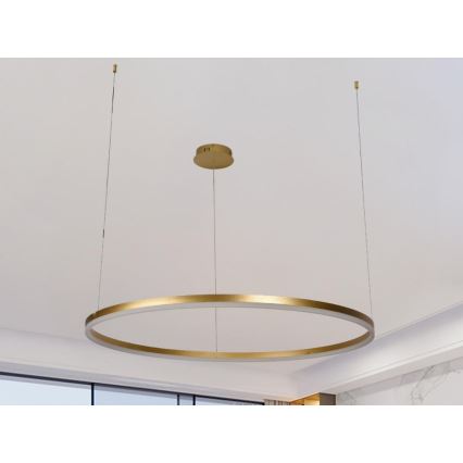 Dimmbare LED-Hängeleuchte LED/55W/230V 3000-6500K + Fernbedienung