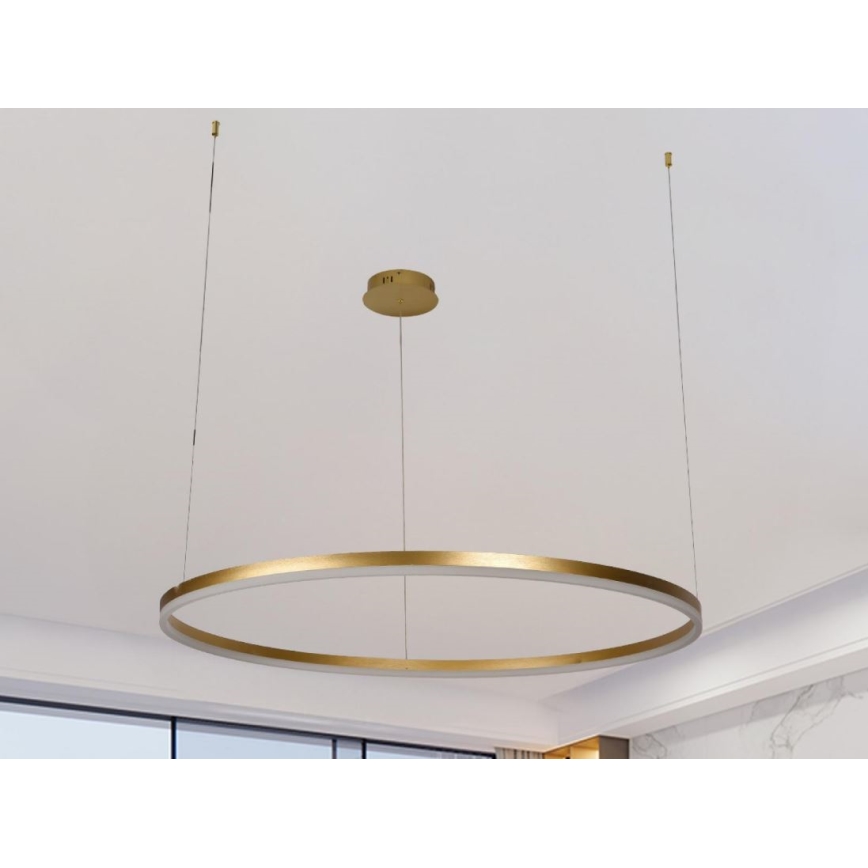 Dimmbare LED-Hängeleuchte LED/55W/230V 3000-6500K + Fernbedienung