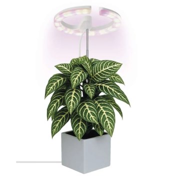 Dimmbare LED-Innenlampe zur Pflanzenaufzucht GROW LED/8W/5V