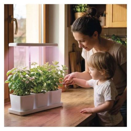 Dimmbares LED-Zuchtlicht für den Innenbereich GROW LED/7W/5V