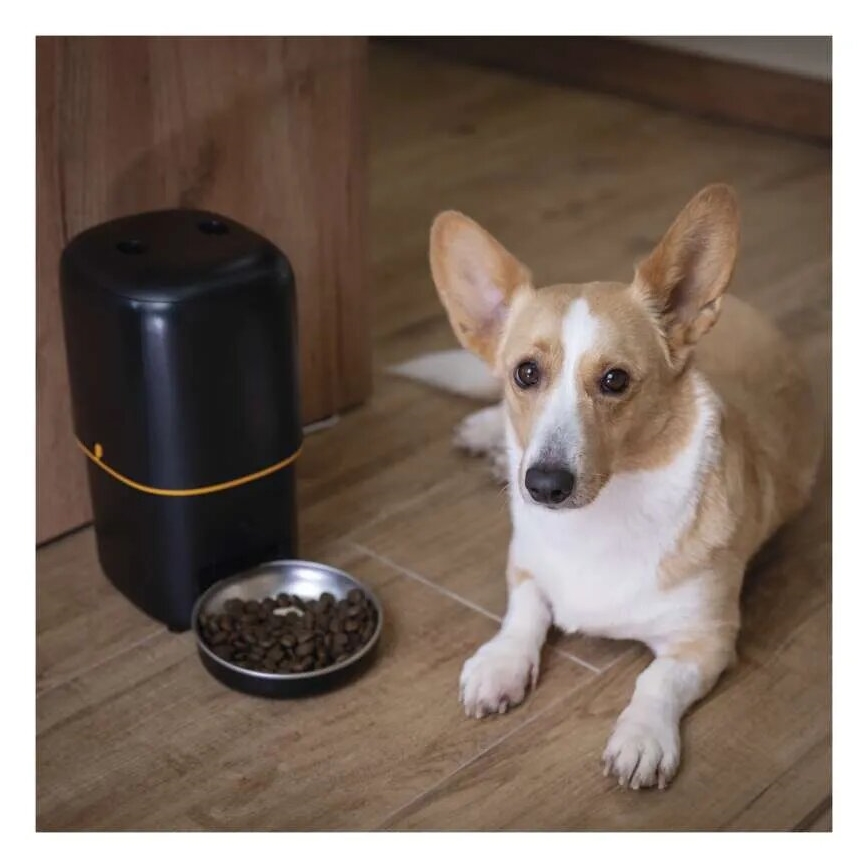 Distributore automatico di mangime 4 l/5V/3xD nero Wi-Fi