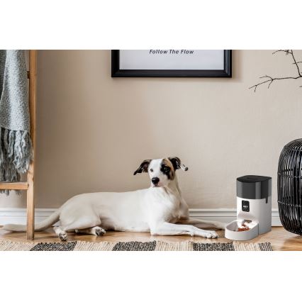 Distributore automatico di mangime con microfono e camera 9l/230V Wi-Fi
