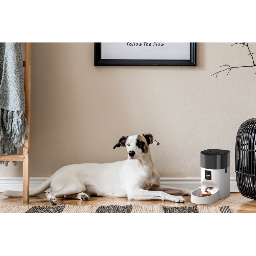 Distributore automatico di mangime con microfono e camera 9l/230V Wi-Fi