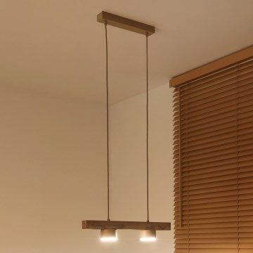 Duolla - Lampadario a sospensione con cavo IRONLINE 2xGX53/3W/230V pino/rovere/beige