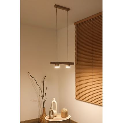 Duolla - Lampadario a sospensione con cavo IRONLINE 2xGX53/3W/230V pino/rovere/beige