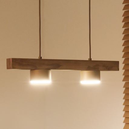 Duolla - Lampadario a sospensione con cavo IRONLINE 2xGX53/3W/230V pino/rovere/beige