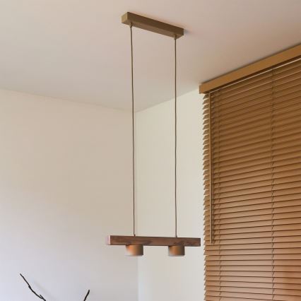 Duolla - Lampadario a sospensione con cavo IRONLINE 2xGX53/3W/230V pino/rovere/beige