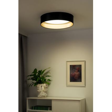 Duolla - LED-Deckenleuchte ROLLER LED/24W/230V d 45 cm schwarz/golden